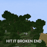 a screenshot of a minecraft game with the words hit it broken end
