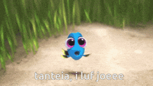 a picture of a blue fish with the words tanteia i luf joeee