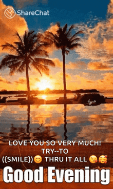 a good evening message with a sunset and palm trees