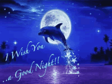 Goodnight Dolphins GIF - Goodnight Dolphins Moon GIFs
