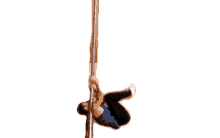 pole going up climbing strong arms strength