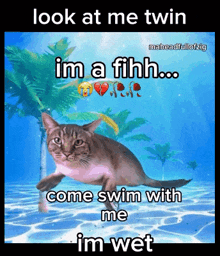 a picture of a cat that says look at me twin i 'm a fihh come swim with me i 'm wet