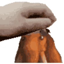 jojomamoth jojomamoth