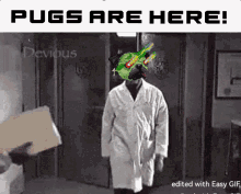 Pugs Are Here Space Pugs GIF - Pugs Are Here Space Pugs Pugs GIFs