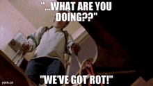 a man standing on a ladder with the words " what are you doing " written above him