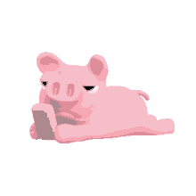 tkthao219 rosa pig