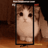 Bloxsense Non Bloxsense User GIF
