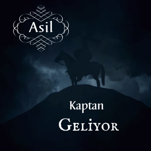 Asil Kaptan GIF - Asil Kaptan - Discover & Share GIFs