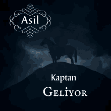 Asil Kaptan GIF - Asil Kaptan GIFs