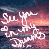 a picture of a sunset with the words see you in my dreams for now
