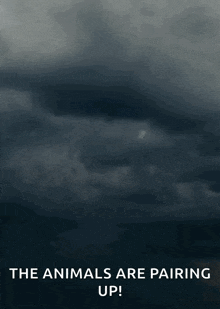 the animals are pairing up with a picture of a lightning storm