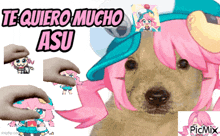 a picture of a dog with pink hair and the words te quiero mucho asu on the top