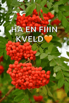 a bunch of red berries hanging from a tree with the words ha en fiiin kveld