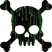 a skull and crossbones are surrounded by a matrix pattern