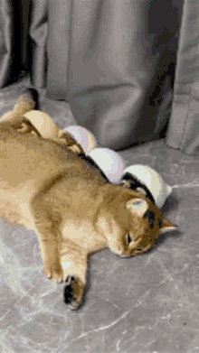 a cat is laying on its back on the floor with balls on its head .