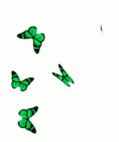 Bom Borboletas Sticker - Bom Borboletas Butterflies - Discover & Share GIFs