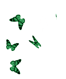 bom borboletas butterflies beautiful flying