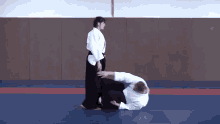 Ls Aikido Tournemamour GIF - Ls Aikido Tournemamour Angelejalouse GIFs