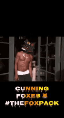 Cunning Foxes Thefoxpack GIF - Cunning Foxes Thefoxpack 2pac GIFs