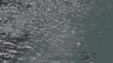 Waves What Happens If Your Town Runs Out Of Water GIF
