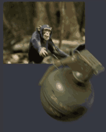 a picture of a chimpanzee next to a grenade that says ' s.p.a. ' on it