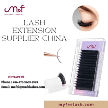 Professional Lash Manufacturer GIF - Professional Lash Manufacturer GIFs