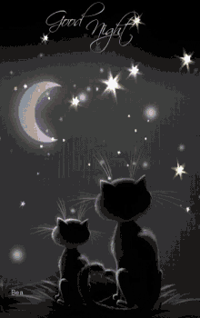 Goodnight Cats GIF - Goodnight Cats Night GIFs