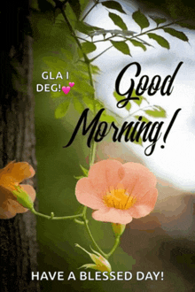 a picture of a flower with the words good morning have a blessed day below it