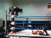 a wrestler with the number 87 on their back