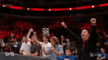 Roman Reigns Fans GIF - Roman Reigns Fans Cheering GIFs
