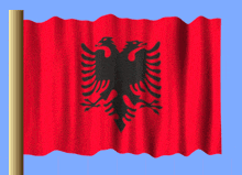a red flag with a black eagle on it is waving in the wind