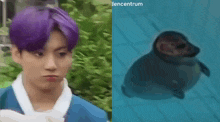 a man with purple hair next to a picture of a seal that says dencentrum