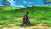 a cartoon character is standing in a grassy field with the words attack animation below her