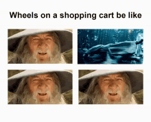 lord of the rings lotr wheels on a shopping cart be like nod spinning