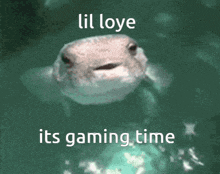 a picture of a fish with the words lil loye its gaming time on it