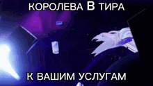 a purple background with the words " королева в тира к вашим услугам " written on it