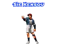 a video game character with the name sie kensou