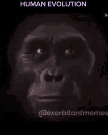 Evolution Human GIF - Evolution Human R1ckr0ll GIFs