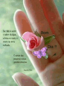 Bom Dia Butterfly GIF - Bom Dia Butterfly Pink Rose GIFs