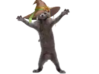 a cat is wearing a witch hat with a green ribbon around it