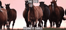 a herd of horses with the 7 pdj riding it souls written above them