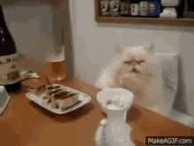 a cat sitting at a table with a bottle of beer and a plate of food