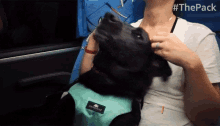 Pet The Pack GIF - Pet The Pack Amazon GIFs