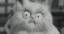 Meow GIF - Meow Creepy Hypnotized GIFs