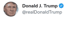 Donald Trump So True GIF - Donald Trump So True Twitter GIFs