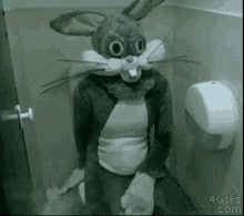 bunny sit here toilet