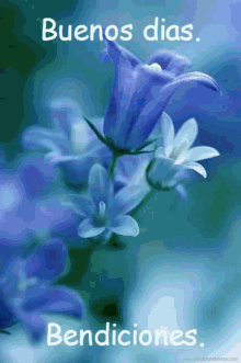 buenos dias azul good morning blue flowers