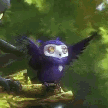 ori ori and the blind forest ori and the will of the wisps fly bird
