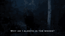 a man is walking through a dark forest at night .
