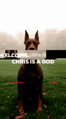 Chris Dog GIF